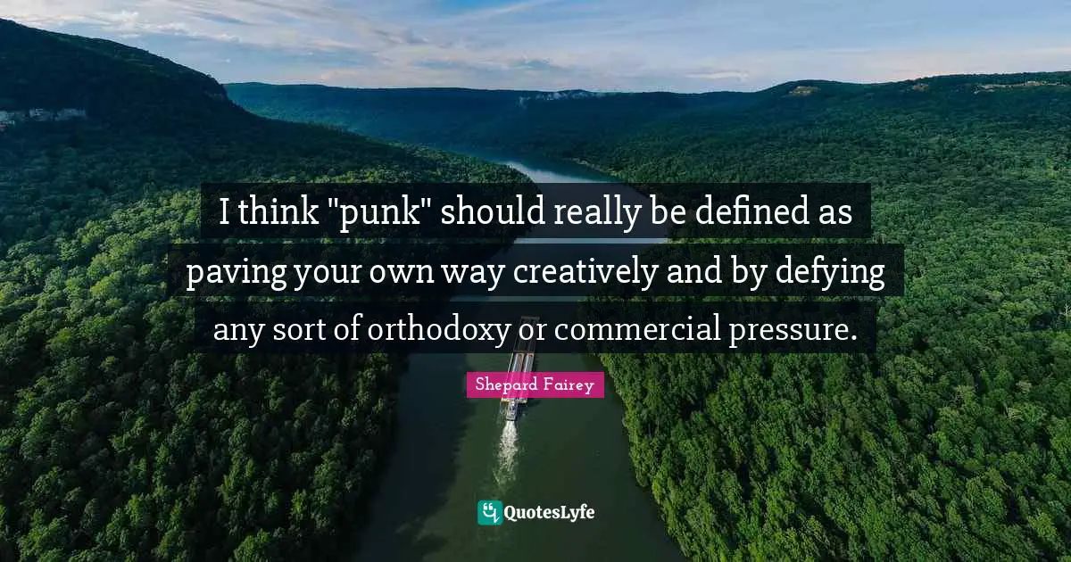 I think "punk" should really be defined as paving your own way creatively and by defying any sort of orthodoxy or commercial pressure.
