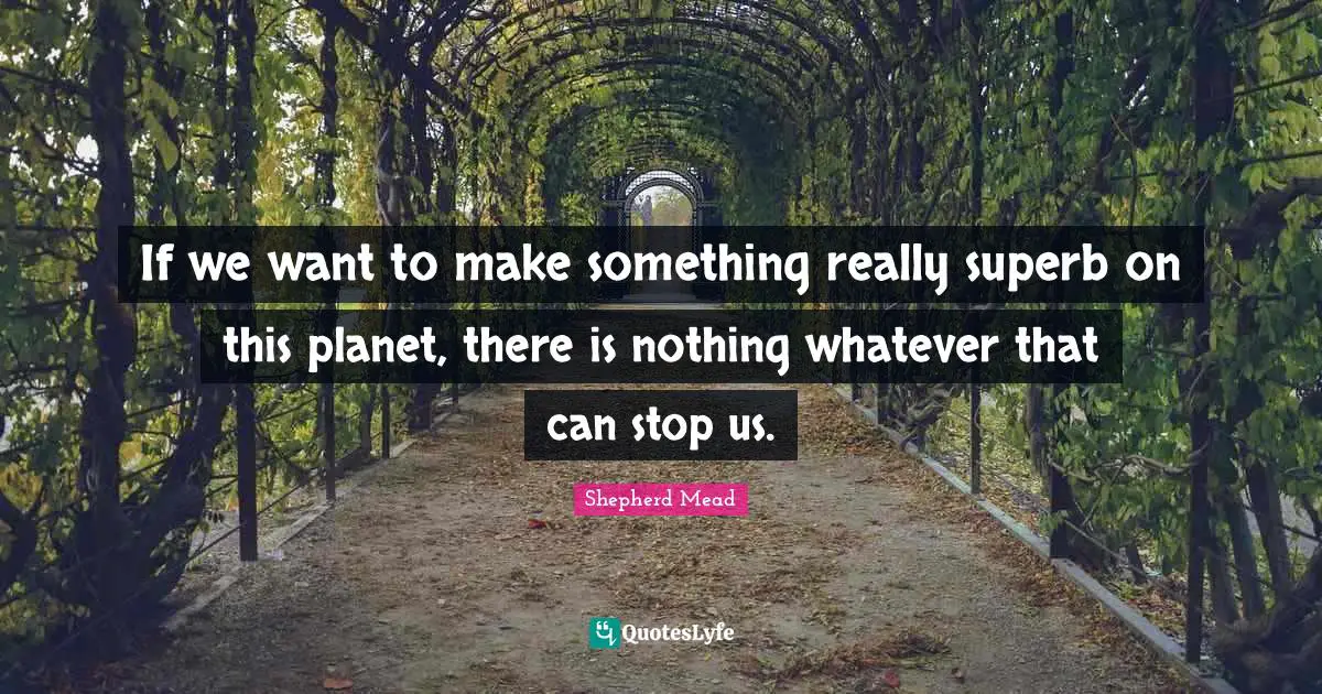 If we want to make something really superb on this planet, there is nothing whatever that can stop us.
