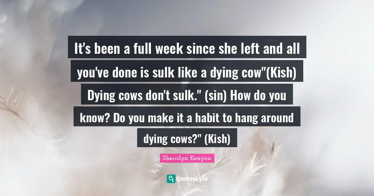 It's been a full week since she left and all you've done is sulk like a dying cow"(Kish) Dying cows don't sulk." (sin) How do you know? Do you make it a habit to hang around dying cows?" (Kish)
