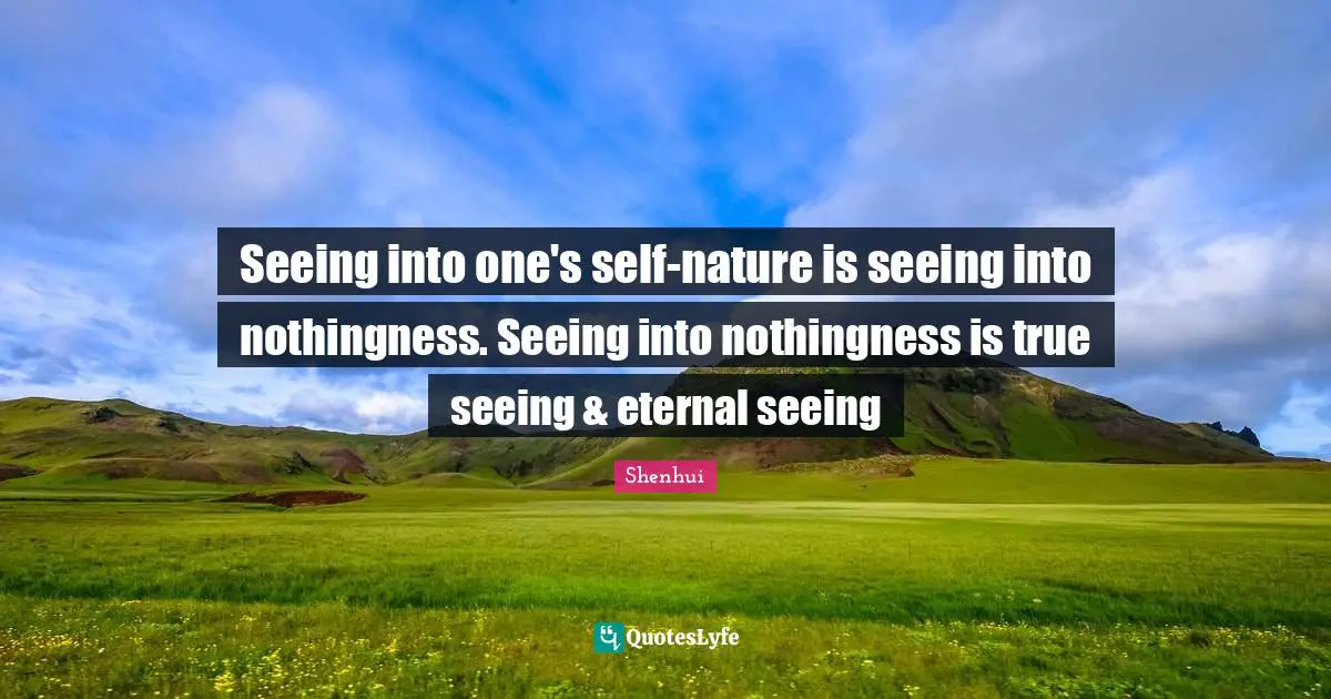 Seeing into one's self-nature is seeing into nothingness. Seeing into nothingness is true seeing & eternal seeing