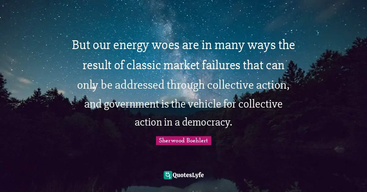 But our energy woes are in many ways the result of classic market failures that can only be addressed through collective action, and government is the vehicle for collective action in a democracy.
