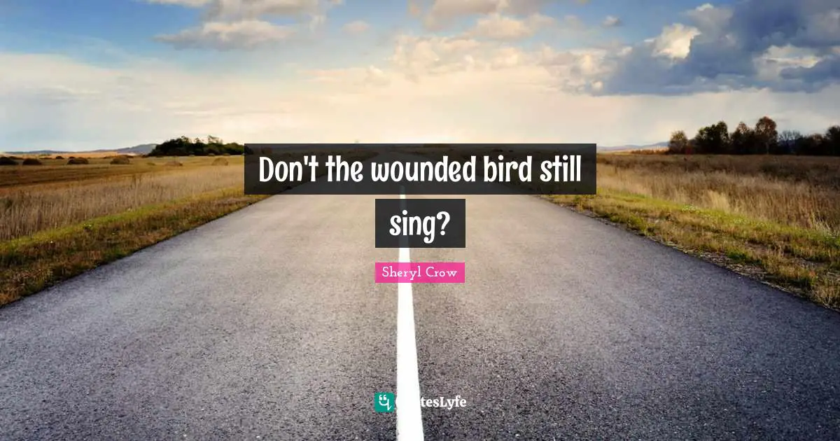 Don't the wounded bird still sing?