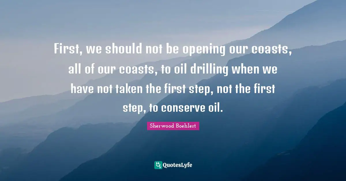 First, we should not be opening our coasts, all of our coasts, to oil drilling when we have not taken the first step, not the first step, to conserve oil.