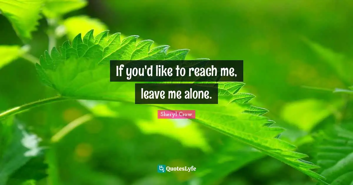 If you'd like to reach me, leave me alone.