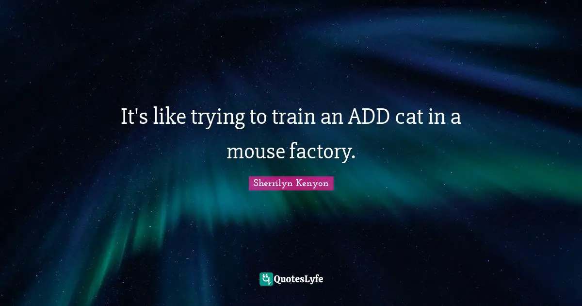 It's like trying to train an ADD cat in a mouse factory.