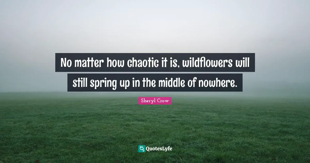 Spring Quotes: "No matter how chaotic it is, wildflowers will still spring up in the middle of nowhere."