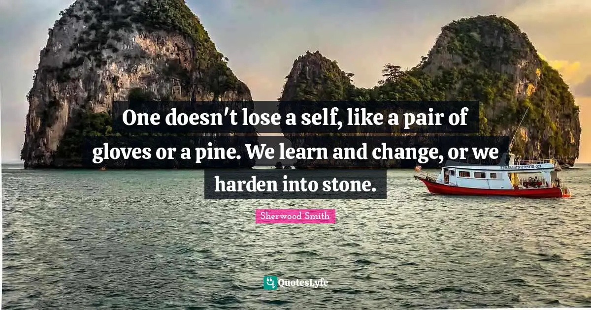 Stones Quotes: "One doesn't lose a self, like a pair of gloves or a pine. We learn and change, or we harden into stone."