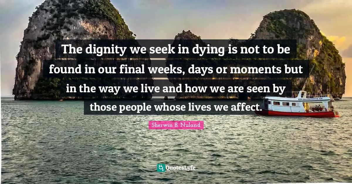 The dignity we seek in dying is not to be found in our final weeks, days or moments but in the way we live and how we are seen by those people whose lives we affect.