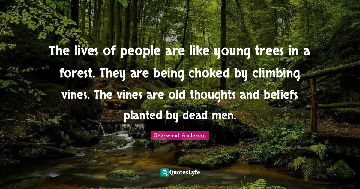 Vines Quotes: "The lives of people are like young trees in a forest. They are being choked by climbing vines. The vines are old thoughts and beliefs planted by dead men."