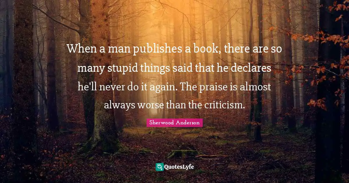When a man publishes a book, there are so many stupid things said that he declares he'll never do it again. The praise is almost always worse than the criticism.