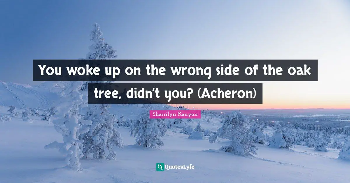 You woke up on the wrong side of the oak tree, didn’t you? (Acheron)