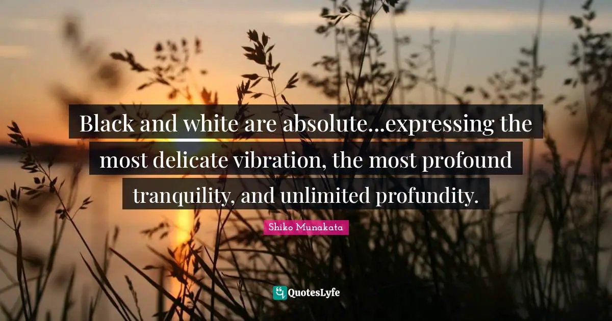 Black and white are absolute...expressing the most delicate vibration, the most profound tranquility, and unlimited profundity.