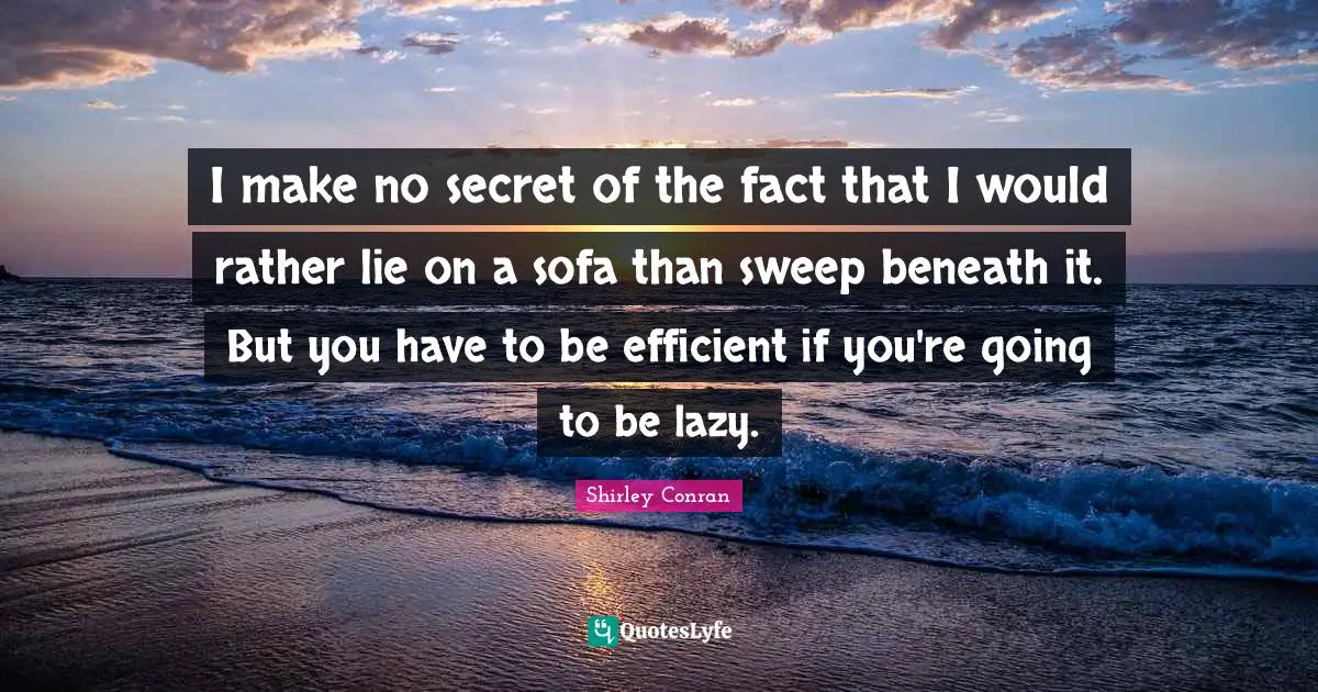 I make no secret of the fact that I would rather lie on a sofa than sweep beneath it. But you have to be efficient if you're going to be lazy.