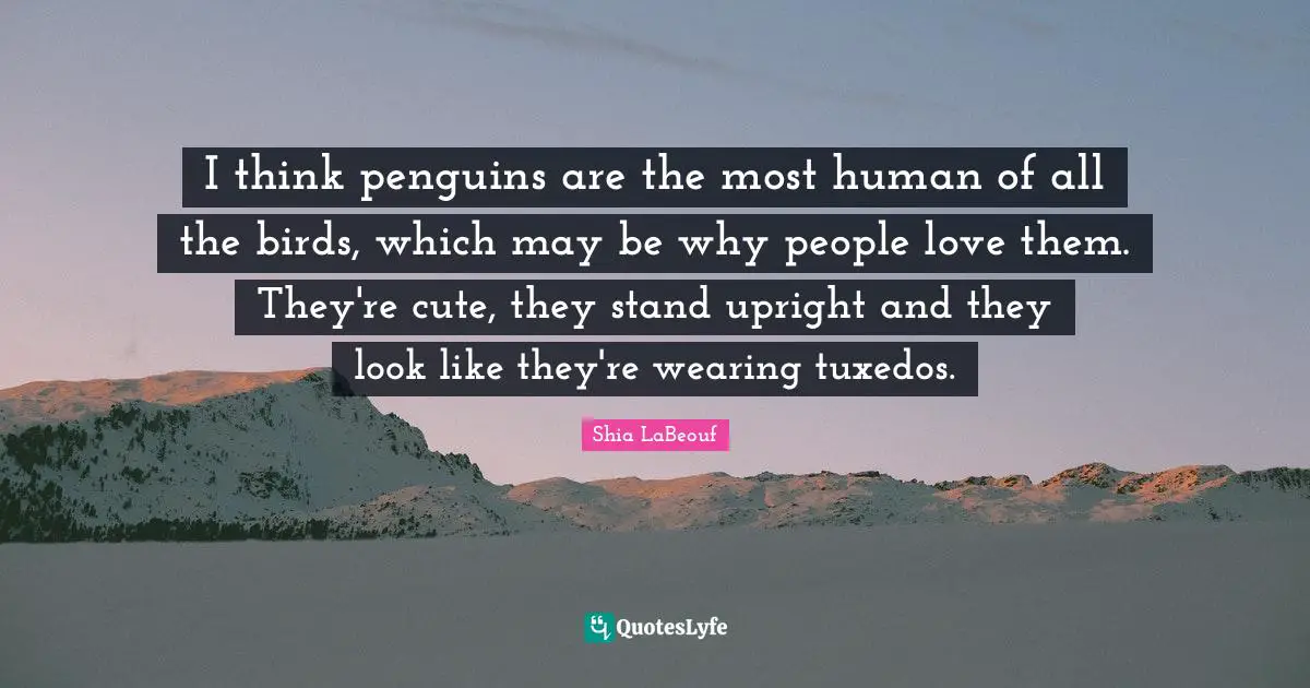 I think penguins are the most human of all the birds, which may be why people love them. They're cute, they stand upright and they look like they're wearing tuxedos.