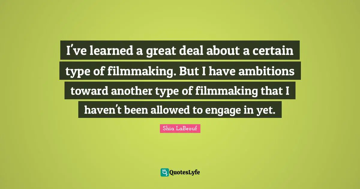 I've learned a great deal about a certain type of filmmaking. But I have ambitions toward another type of filmmaking that I haven't been allowed to engage in yet.