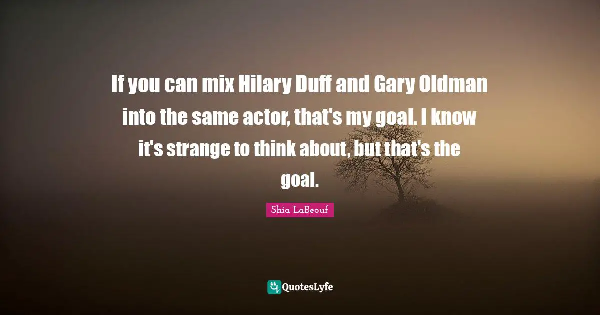 If you can mix Hilary Duff and Gary Oldman into the same actor, that's my goal. I know it's strange to think about, but that's the goal.