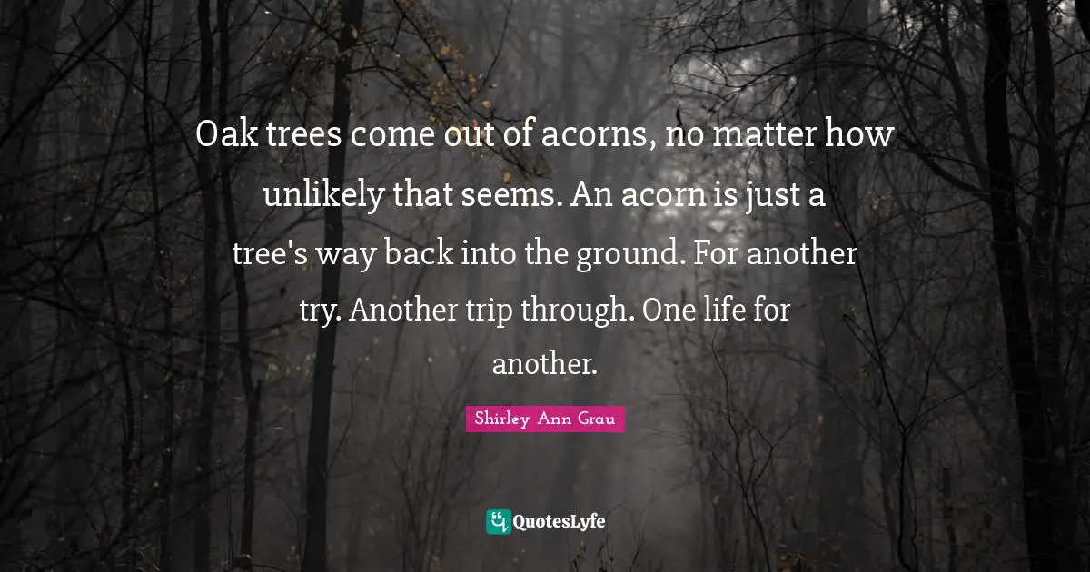 Oak trees come out of acorns, no matter how unlikely that seems. An acorn is just a tree's way back into the ground. For another try. Another trip through. One life for another.