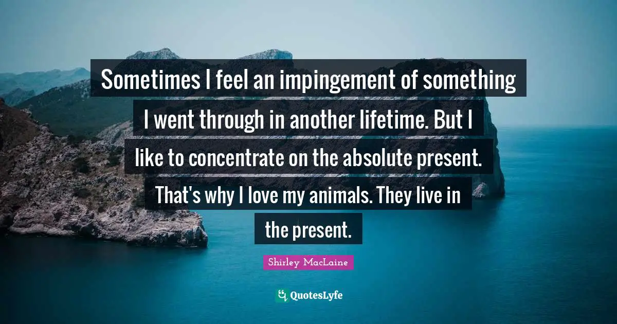 Sometimes I feel an impingement of something I went through in another lifetime. But I like to concentrate on the absolute present. That's why I love my animals. They live in the present.