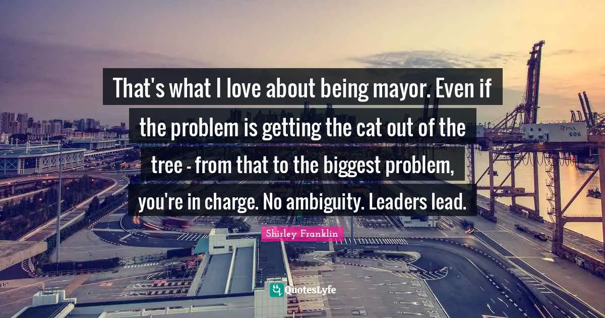 Ambiguity Quotes: "That's what I love about being mayor. Even if the problem is getting the cat out of the tree - from that to the biggest problem, you're in charge. No ambiguity. Leaders lead."