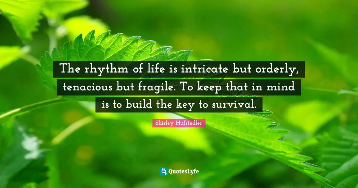 The rhythm of life is intricate but orderly, tenacious but fragile. To keep that in mind is to build the key to survival.