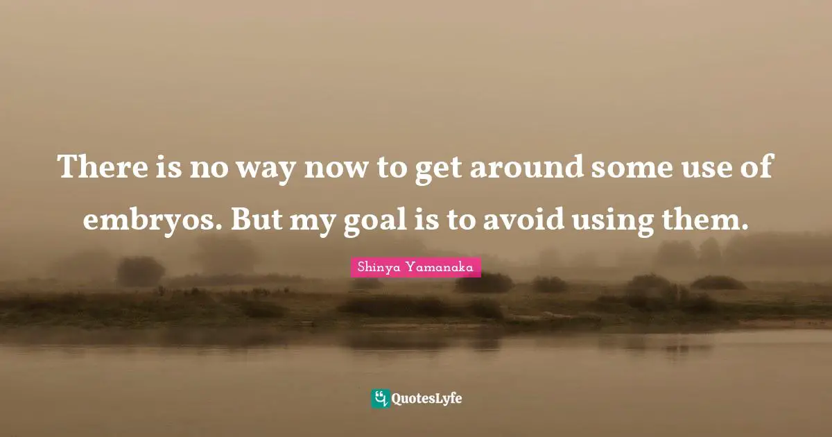 There is no way now to get around some use of embryos. But my goal is to avoid using them.