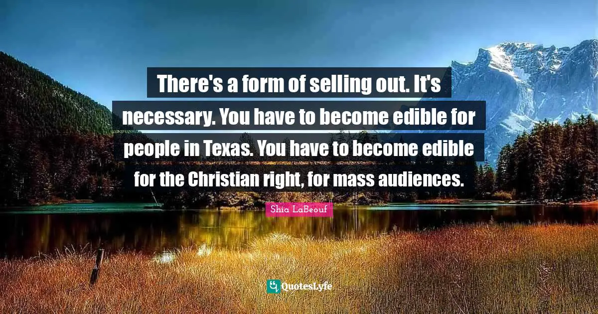 There's a form of selling out. It's necessary. You have to become edible for people in Texas. You have to become edible for the Christian right, for mass audiences.