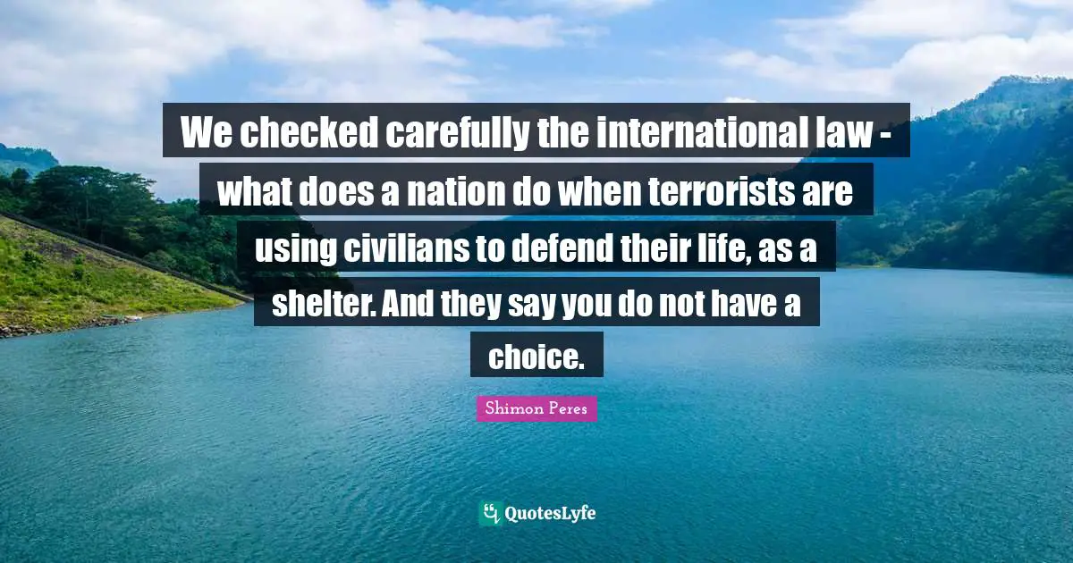 We checked carefully the international law - what does a nation do when terrorists are using civilians to defend their life, as a shelter. And they say you do not have a choice.