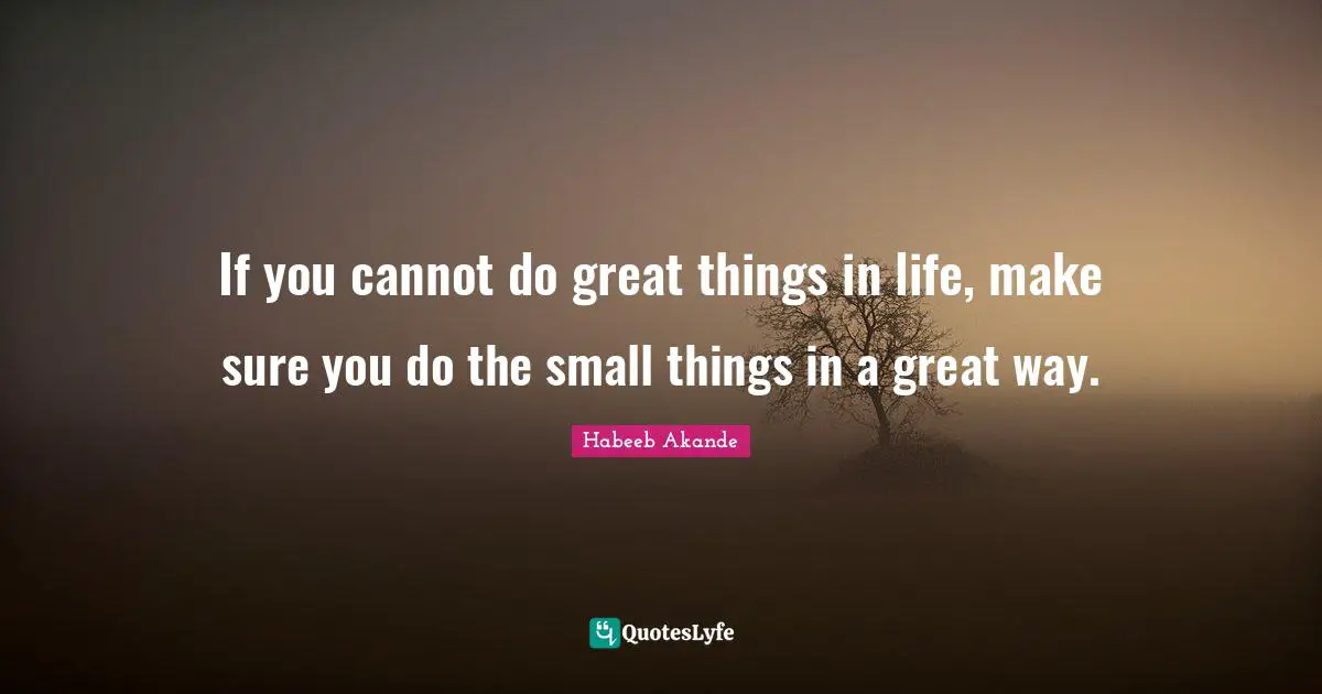 Habeeb Akande Quotes: "If you cannot do great things in life, make sure you do the small things in a great way."