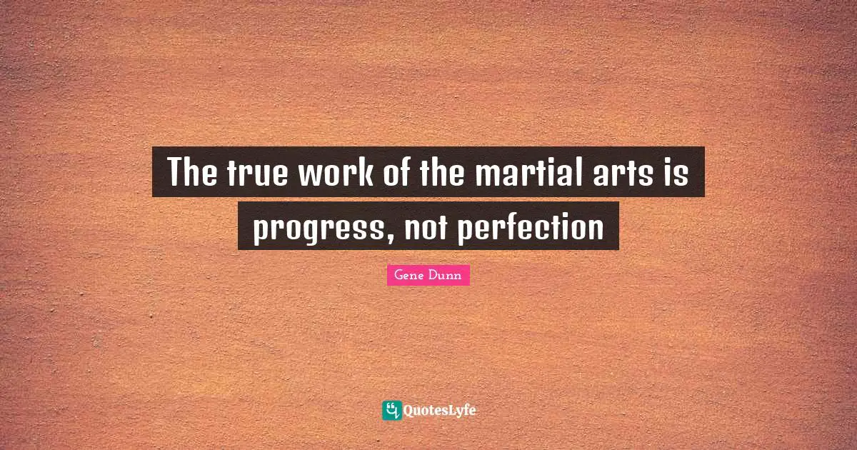 The true work of the martial arts is progress, not perfection