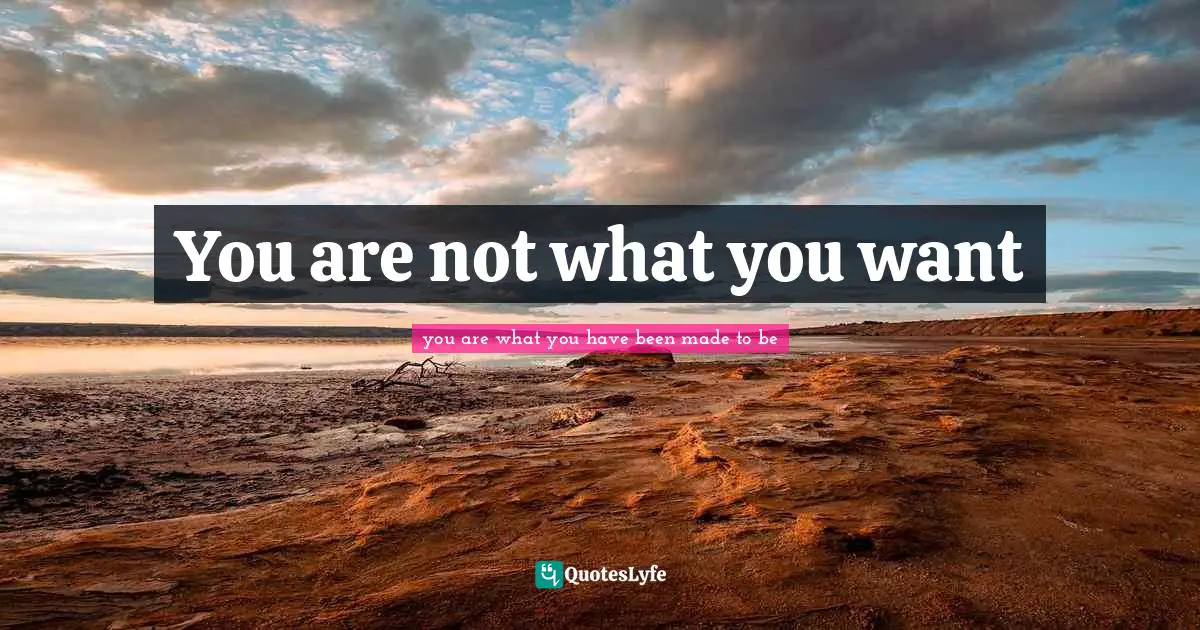 You are not what you want