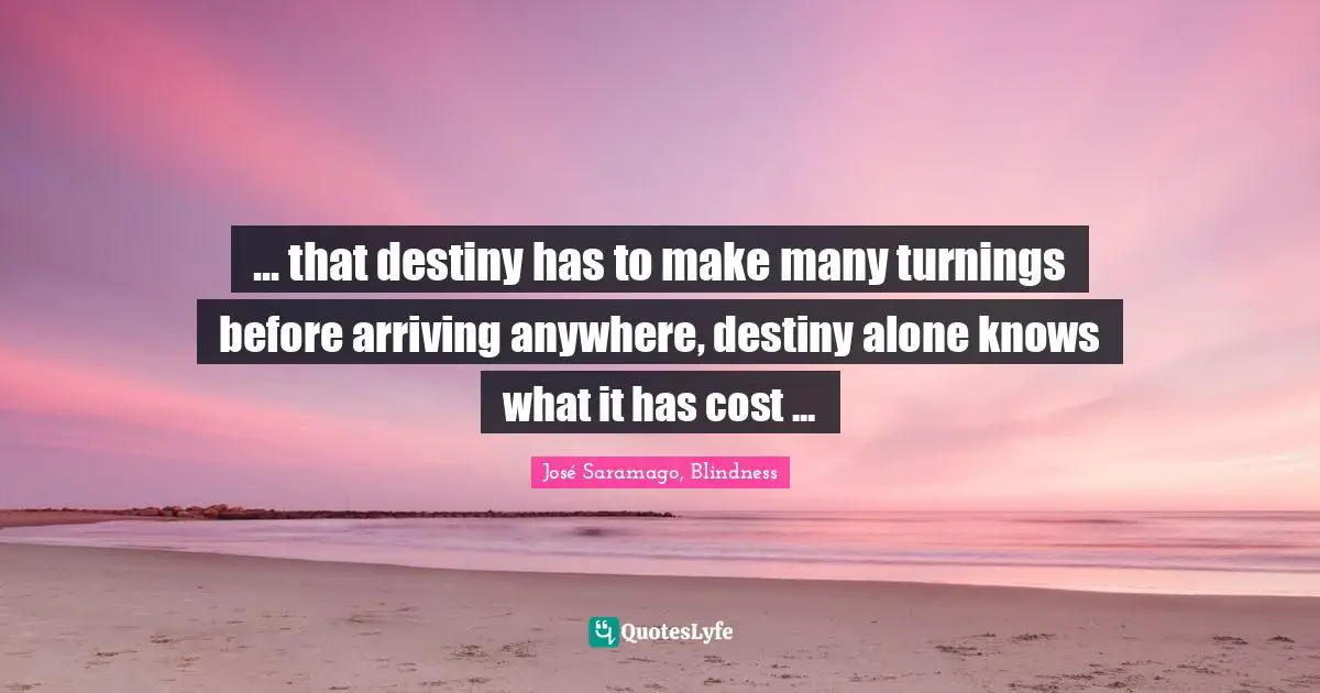 ... that destiny has to make many turnings before arriving anywhere, destiny alone knows what it has cost ...