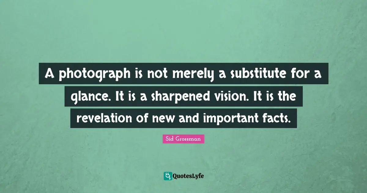 A photograph is not merely a substitute for a glance. It is a sharpened vision. It is the revelation of new and important facts.
