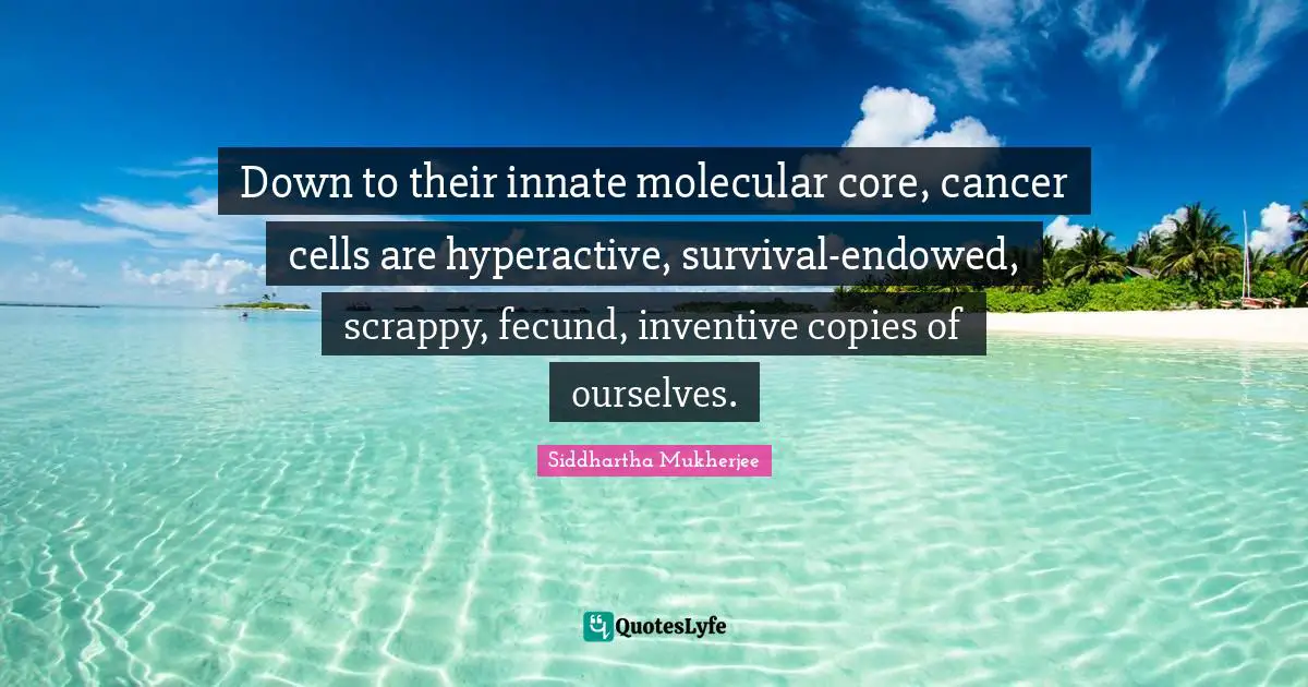 Down to their innate molecular core, cancer cells are hyperactive, survival-endowed, scrappy, fecund, inventive copies of ourselves.