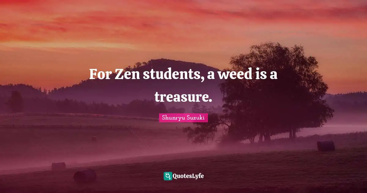 For Zen students, a weed is a treasure.