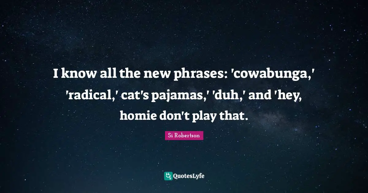 I know all the new phrases: 'cowabunga,' 'radical,' cat's pajamas,' 'duh,' and 'hey, homie don't play that.