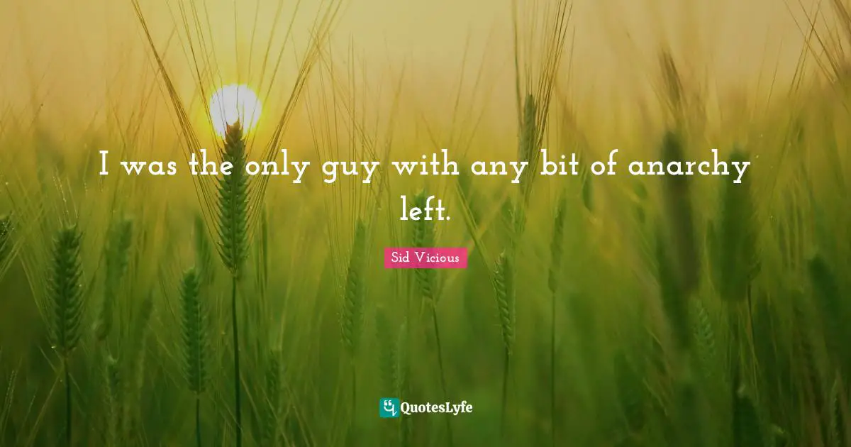 I was the only guy with any bit of anarchy left.