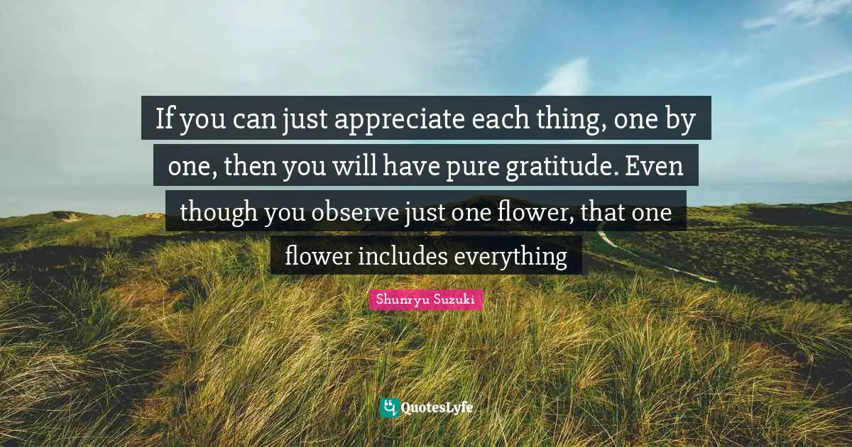 If you can just appreciate each thing, one by one, then you will have pure gratitude. Even though you observe just one flower, that one flower includes everything