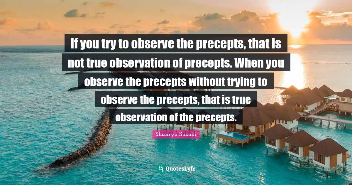 If you try to observe the precepts, that is not true observation of precepts. When you observe the precepts without trying to observe the precepts, that is true observation of the precepts.