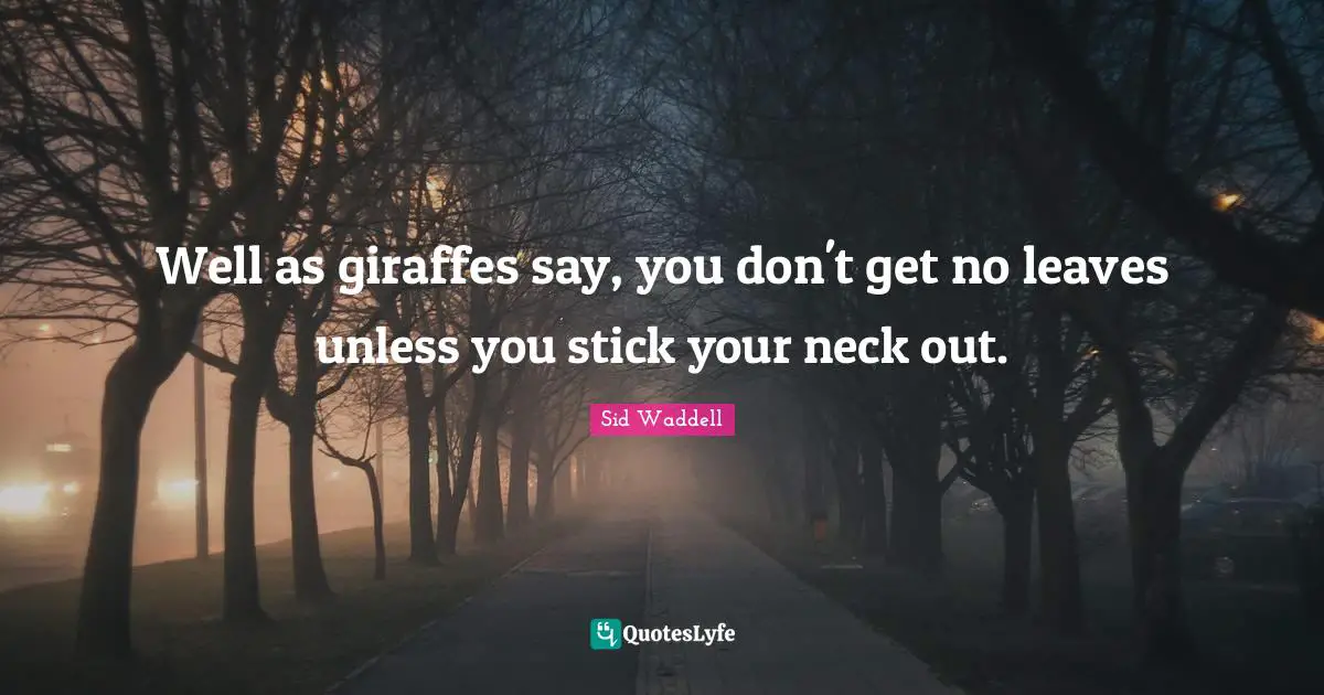 Sticks Quotes: "Well as giraffes say, you don't get no leaves unless you stick your neck out."