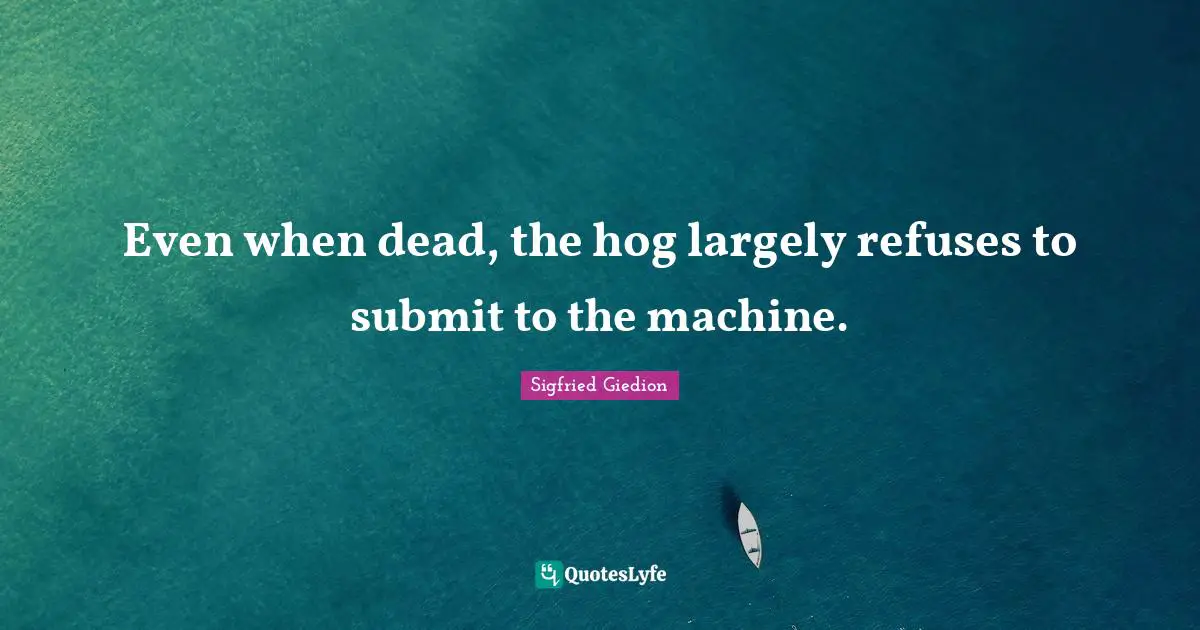 Hog Quotes: "Even when dead, the hog largely refuses to submit to the machine."
