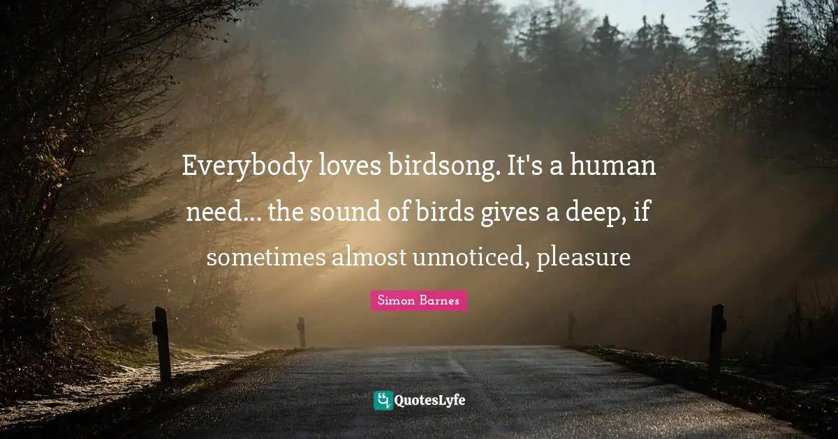 Everybody loves birdsong. It's a human need... the sound of birds gives a deep, if sometimes almost unnoticed, pleasure