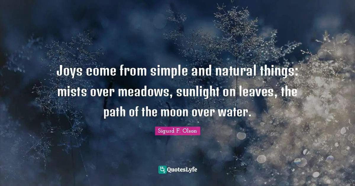 Sigurd F. Olson Quotes: Joys come from simple and natural things: mists over meadows, sunlight on leaves, the path of the moon over water.