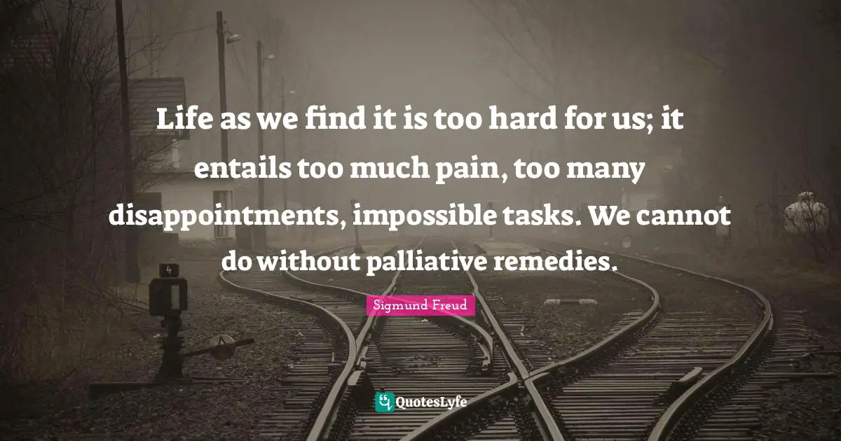 Life as we find it is too hard for us; it entails too much pain, too many disappointments, impossible tasks. We cannot do without palliative remedies.