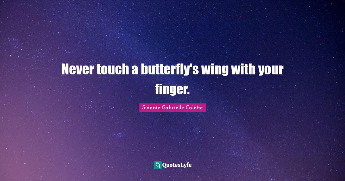 Never touch a butterfly's wing with your finger.... Quote by Sidonie