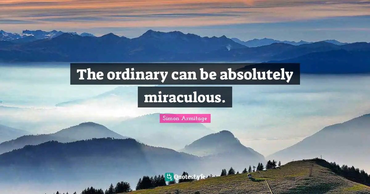 The ordinary can be absolutely miraculous.