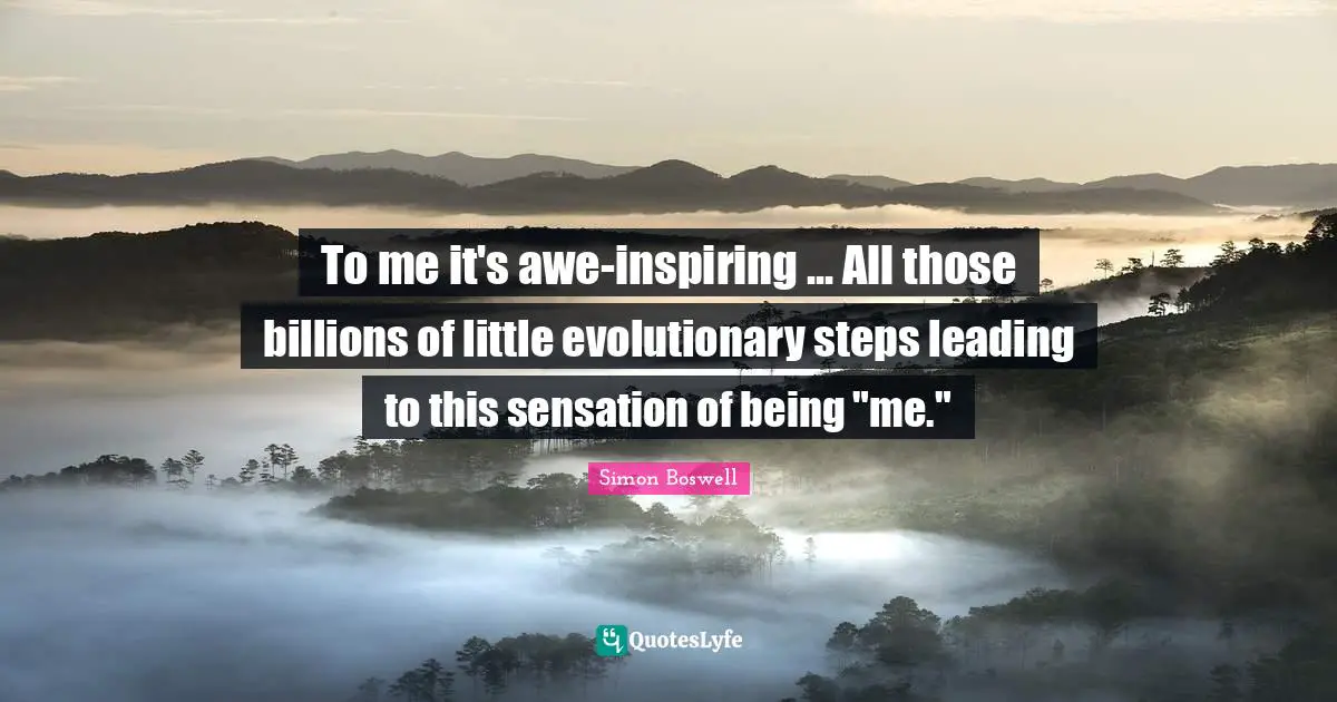 To me it's awe-inspiring ... All those billions of little evolutionary steps leading to this sensation of being "me."