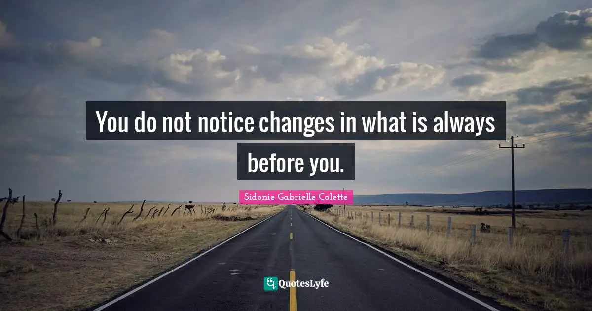 Sidonie Gabrielle Colette Quotes: "You do not notice changes in what is always before you."