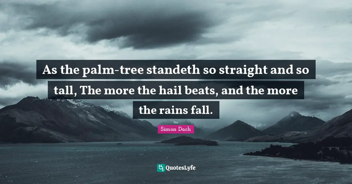 As the palm-tree standeth so straight and so tall, The more the hail beats, and the more the rains fall.