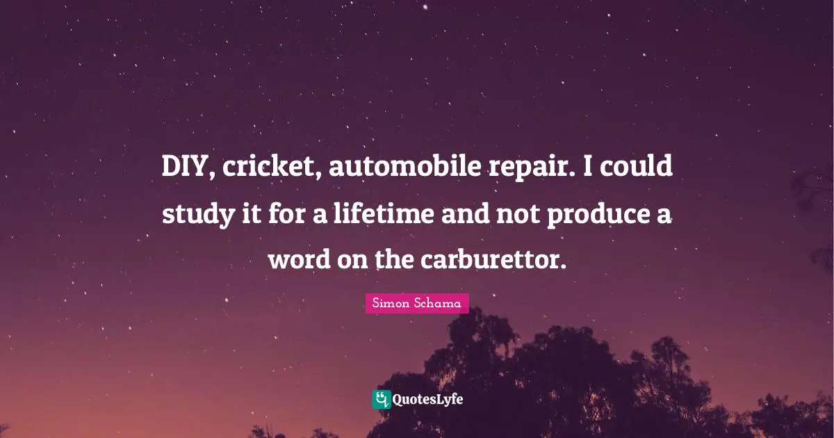 DIY, cricket, automobile repair. I could study it for a lifetime and not produce a word on the carburettor.