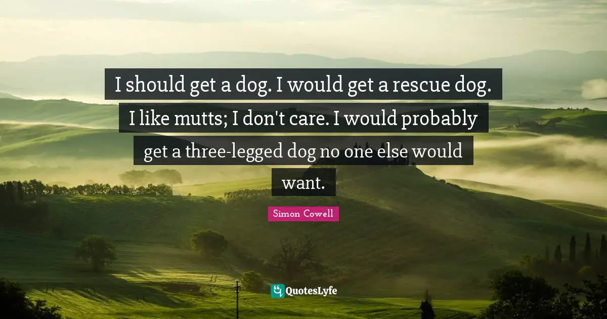 I should get a dog. I would get a rescue dog. I like mutts; I don't care. I would probably get a three-legged dog no one else would want.